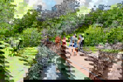 /clients/Rif-Mangrove-Park/Rif-Mangrove-2.jpg